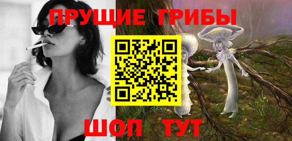 Кингисепп  Псилоцибиновые грибы ЛСД  продажа наркотиков  Вход с VPN 