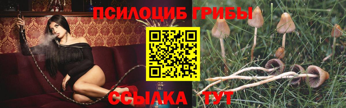 Галлюциногенные грибы MAGIC MUSHROOMS Кингисепп